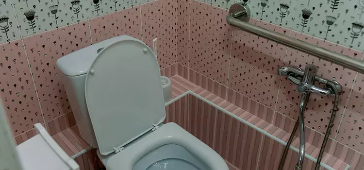 Meeting Diverse Needs With Accessible Restroom Solutions in Ingersoll, ON